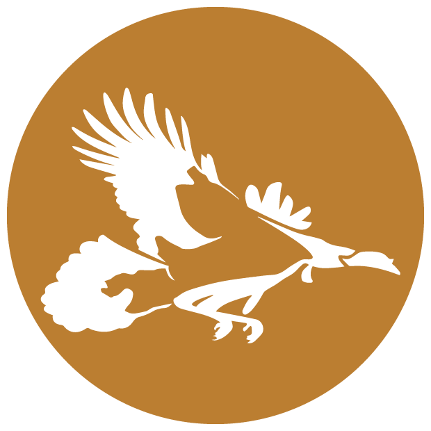 turkey hunting logos