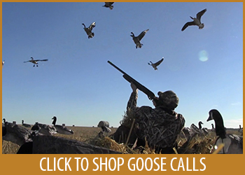 Competition quality goose calls are the best in the blind